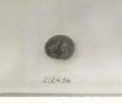 Click for 1 image(s) for this accession. FRUIT